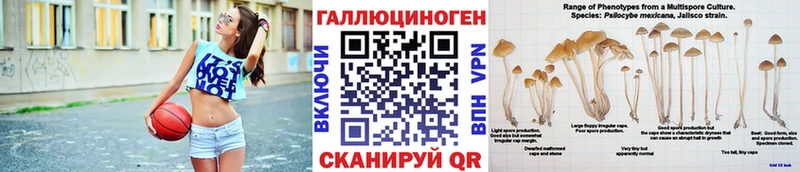 как найти закладки Солигалич Галлюциногенные грибы Psilocybine cubensis